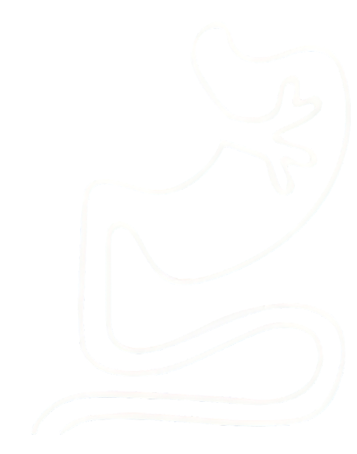 Abstract gecko line drawing on black background.